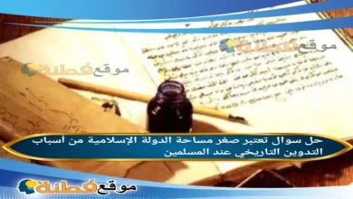تعتبر صغر مساحة الدولة الإسلامية من أسباب التدوين التاريخي عند المسلمين