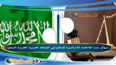 عددي الانظمه الاساسيه للحكم في المملكه العربيه العربيه السعوديه