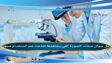 صفات الصورة التي يشاهدها الباحث عند استخدام مجهر