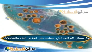 التركيب الذي يساعد على تخزين الماء والفضلات