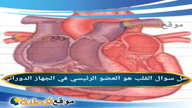 القلب هو العضو الرئيسي في الجهاز الدوراني