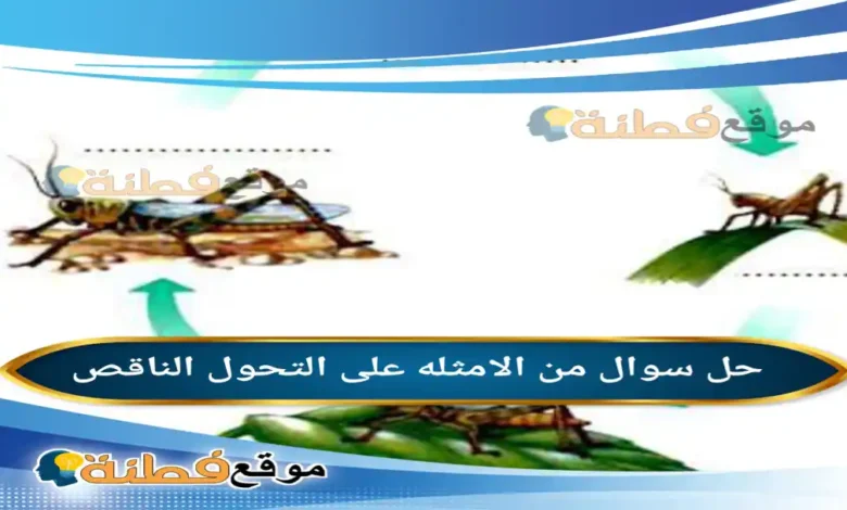 من الامثله على التحول الناقص