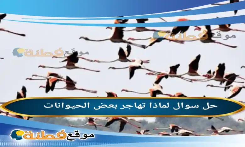 لماذا تهاجر بعض الحيوانات