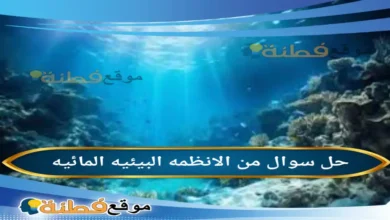 من الانظمه البيئيه المائيه