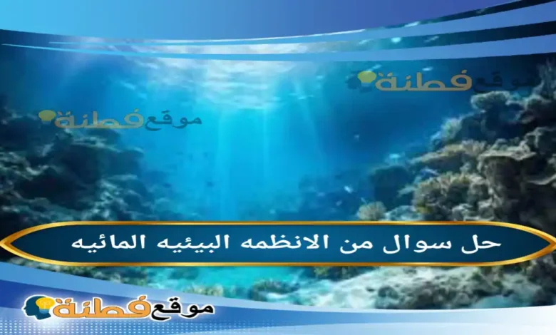 من الانظمه البيئيه المائيه