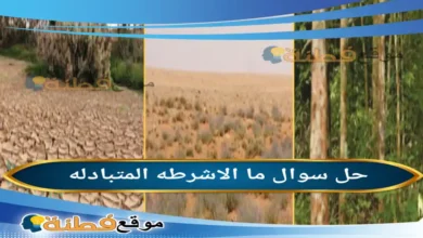 ما الاشرطه المتبادله