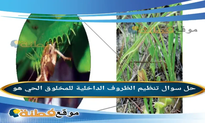 تنظيم الظروف الداخلية للمخلوق الحي هو