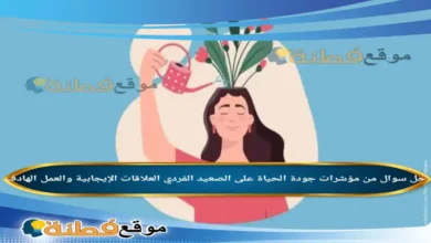 من مؤشرات جودة الحياة على الصعيد الفردي العلاقات الإيجابية والعمل الهادف