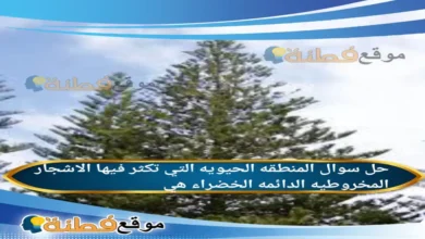 المنطقه الحيويه التي تكثر فيها الاشجار المخروطيه الدائمه الخضراء هي