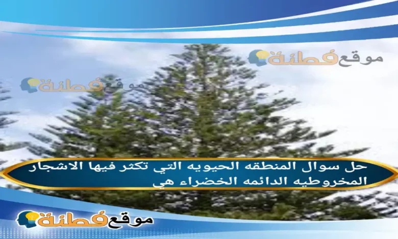 المنطقه الحيويه التي تكثر فيها الاشجار المخروطيه الدائمه الخضراء هي