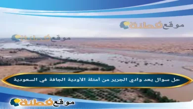 يعد وادي الجرير من أمثلة الأودية الجافة في السعودية