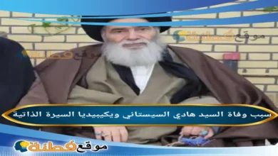 من هو هادي السيستاني ويكيبيديا سبب وفاته وأبرز المعلومات عنه