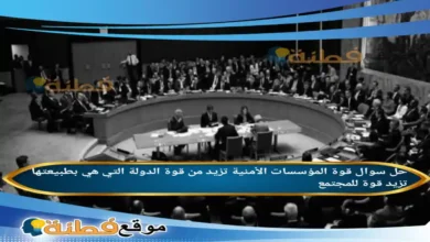 قوة المؤسسات الأمنية تزيد من قوة الدولة التي هي بطبيعتها تزيد قوة للمجتمع