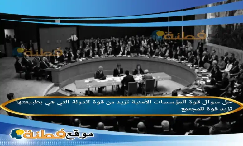 قوة المؤسسات الأمنية تزيد من قوة الدولة التي هي بطبيعتها تزيد قوة للمجتمع