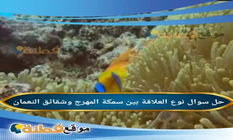نوع العلاقة بين سمكة المهرج وشقائق النعمان