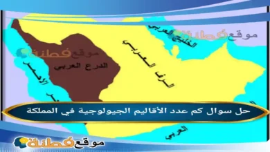 كم عدد الأقاليم الجيولوجية في المملكة