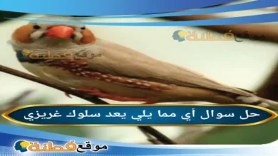 أي مما يلي يعد سلوك غريزي