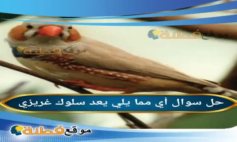 أي مما يلي يعد سلوك غريزي