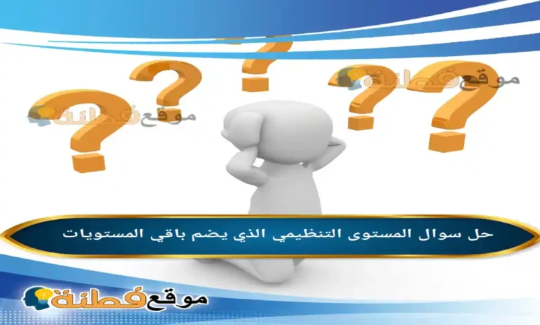 المستوى التنظيمي الذي يضم باقي المستويات