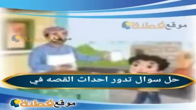 تدور احداث القصه في