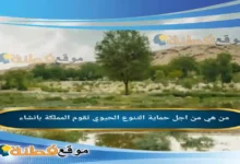 من اجل حماية التنوع الحيوي تقوم المملكة بانشاء