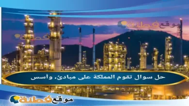 تقوم المملكة على مبادئ، وأسس