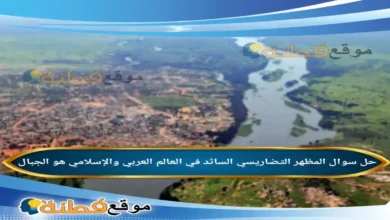 المظهر التضاريسي السائد في العالم العربي والإسلامي هو الجبال