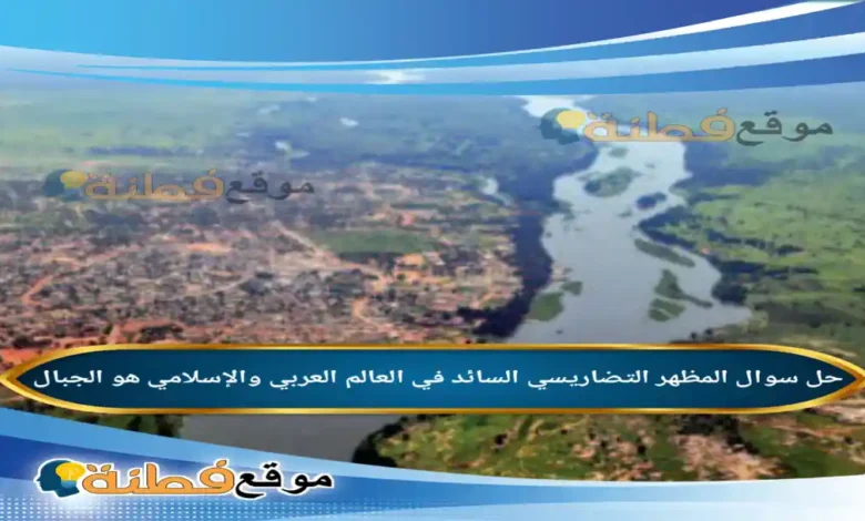 المظهر التضاريسي السائد في العالم العربي والإسلامي هو الجبال