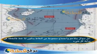 بتلاحم واجتماع مجموعة من النقاط يتكون لنا خط فالنقطة هي بداية كل شيء.