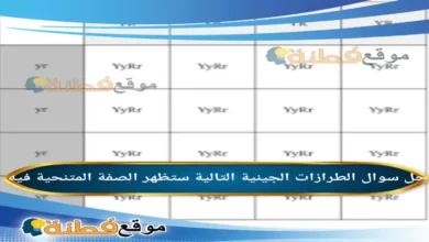 الطرازات الجينية التالية ستظهر الصفة المتنحية فيه