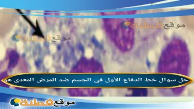 خط الدفاع الأول في الجسم ضد المرض المعدي هو