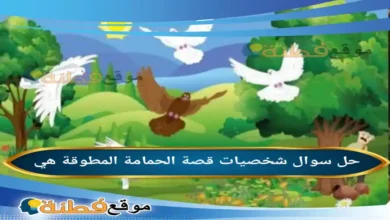 شخصيات قصة الحمامة المطوقة هي