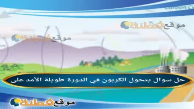 يتحول الكربون في الدورة طويلة الأمد على