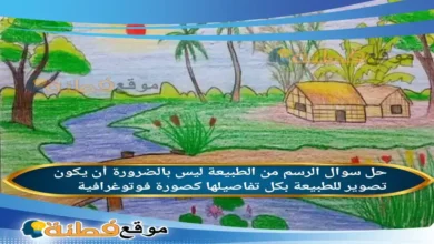 الرسم من الطبيعة ليس بالضرورة أن يكون تصوير للطبيعة بكل تفاصيلها كصورة فوتوغرافية