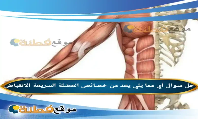 أي مما يلي يعد من خصائص العضلة السريعة الانقباض