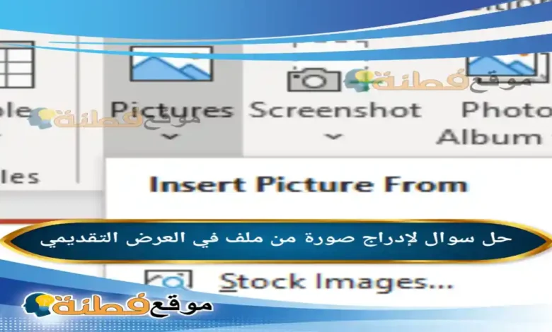 لإدراج صورة من ملف في العرض التقديمي