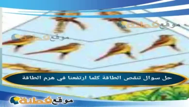 تنقص الطاقة كلما ارتفعنا في هرم الطاقة