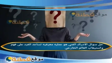 الادراك الفني هو عمليه معرفيه تساعد الفرد على فهم واستيعاب العالم الخارجي