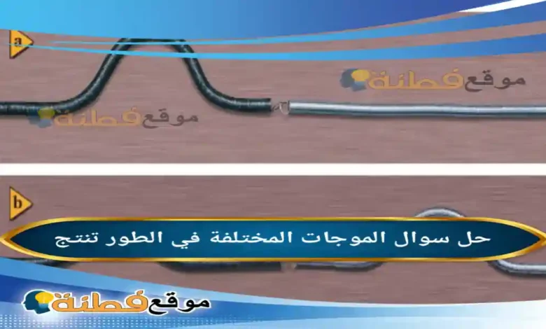 الموجات المختلفة في الطور تنتج