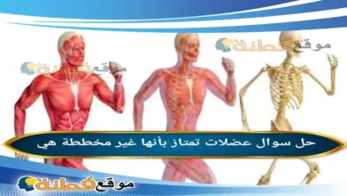 عضلات تمتاز بأنها غير مخططة هي