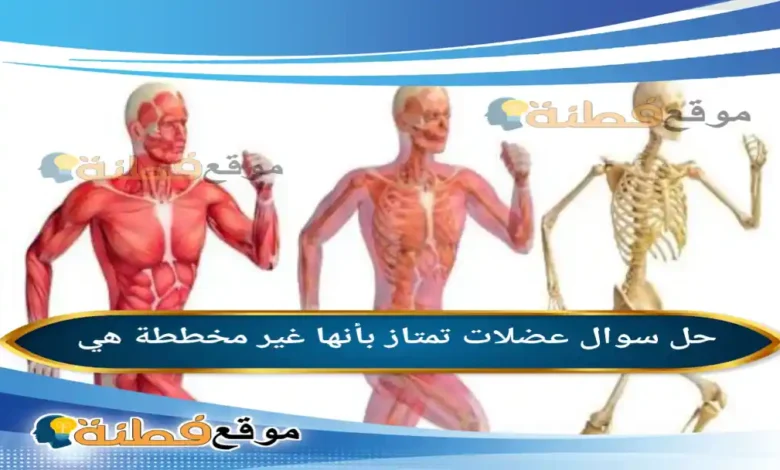 عضلات تمتاز بأنها غير مخططة هي