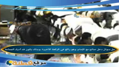 دخل صالح مع الإمام، وهو راكع في الركعة الأخيرة ،وبذلك يكون قد أدرك الجماعة