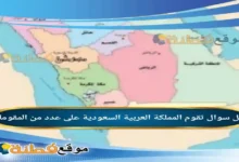 تقوم المملكة العربية السعودية على عدد من المقومات