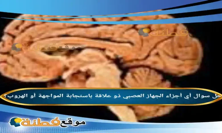 أي أجزاء الجهاز العصبي ذو علاقة باستجابة المواجهة أو الهروب؟