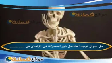 توجد المفاصل غير المتحركة في الإنسان في ...............