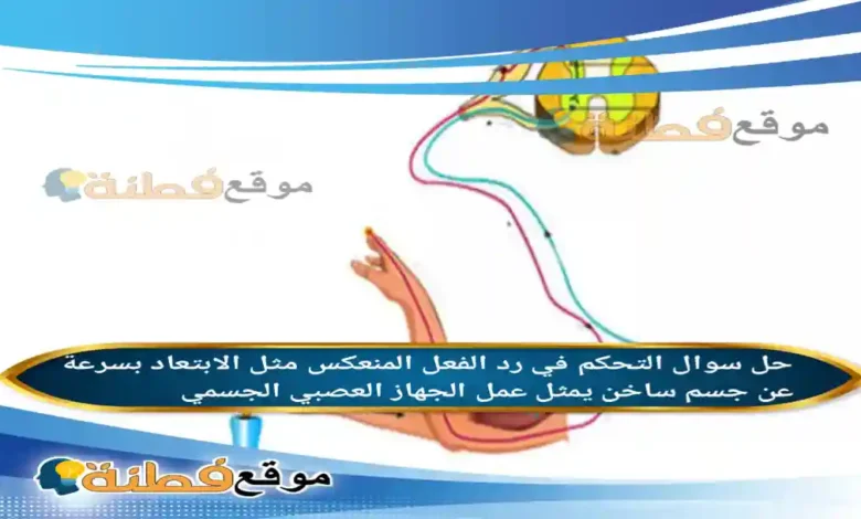 التحكم في رد الفعل المنعكس مثل الابتعاد بسرعة عن جسم ساخن يمثل عمل الجهاز العصبي الجسمي .