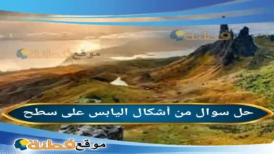 من أشكال اليابس على سطح