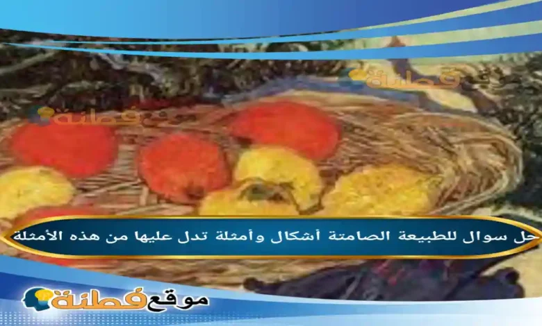 للطبيعة الصامتة أشكال وأمثلة تدل عليها من هذه الأمثلة