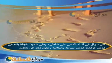 في أثناء المشي على شاطيء رملي شعرت فجأة بألم في قدمك فرفعت قدمك بسرعة وتلقائية ، يعود ذلك إلى تنظيم