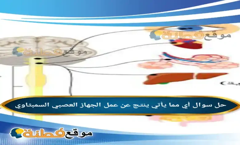 أي مما يأتي ينتج عن عمل الجهاز العصبي السمبثاوي